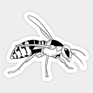 Bee Wasp Sticker